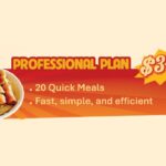 PROFESSIONAL PLAN